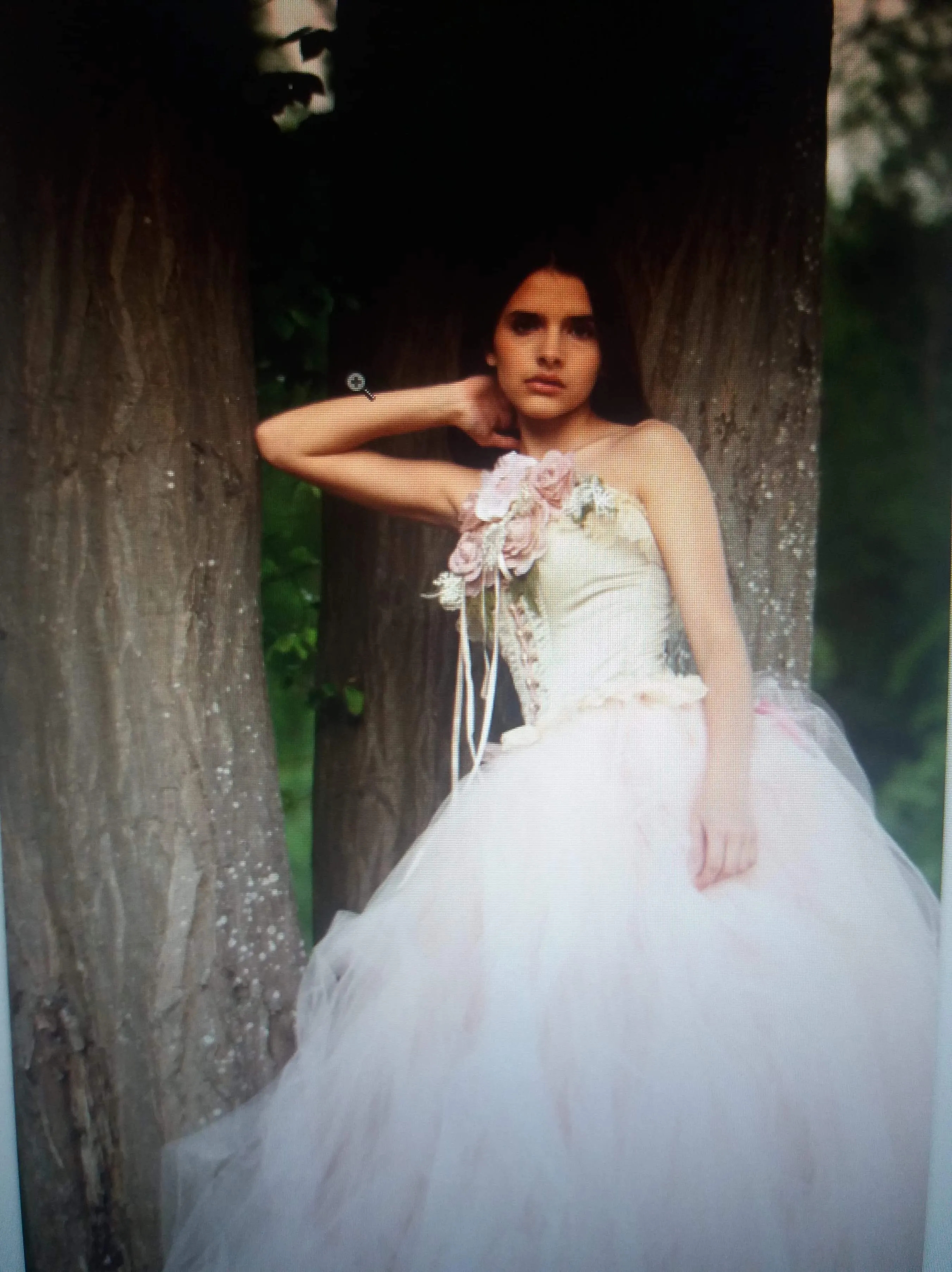 Rental Tulle Skirt & Corset  - Morganne